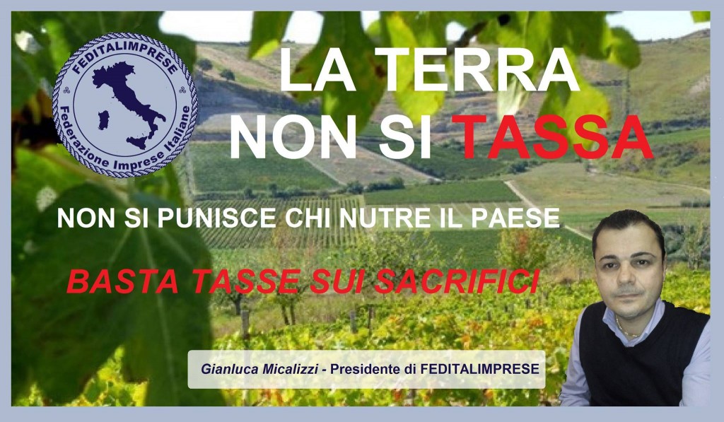 tasse terra